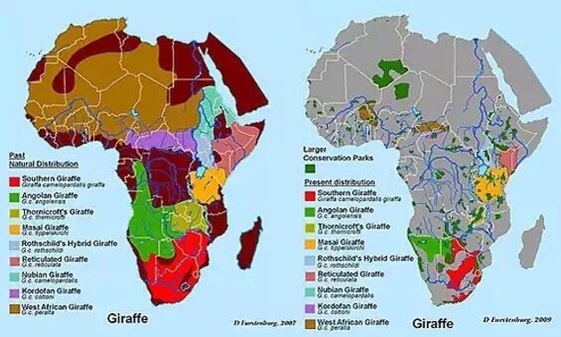 giraffes habitat map