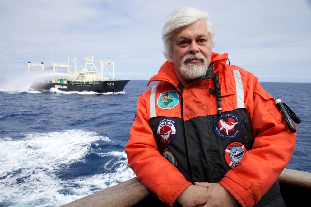 Episode 193 Sea Shepherd S Captain Paul Watson All Creatures Podcast