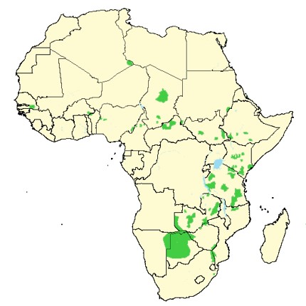 african wild dog habitat maps