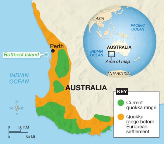 Quokka range - All Creatures Podcast