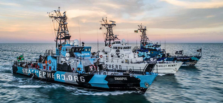 sea_shepherd_fleet