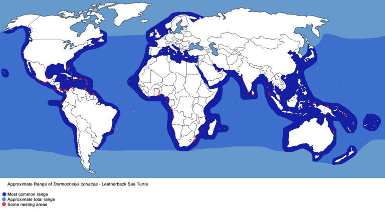 Leatherback Sea Turtle Habitat Map