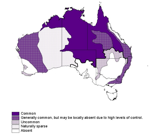 Dingo map - All Creatures Podcast